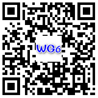 WG6